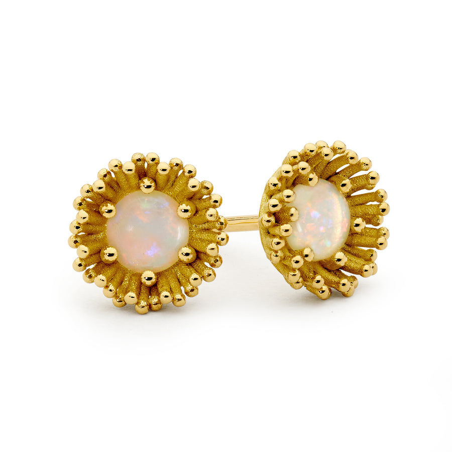 'Banksia' 18ct Opal Stud Earrings