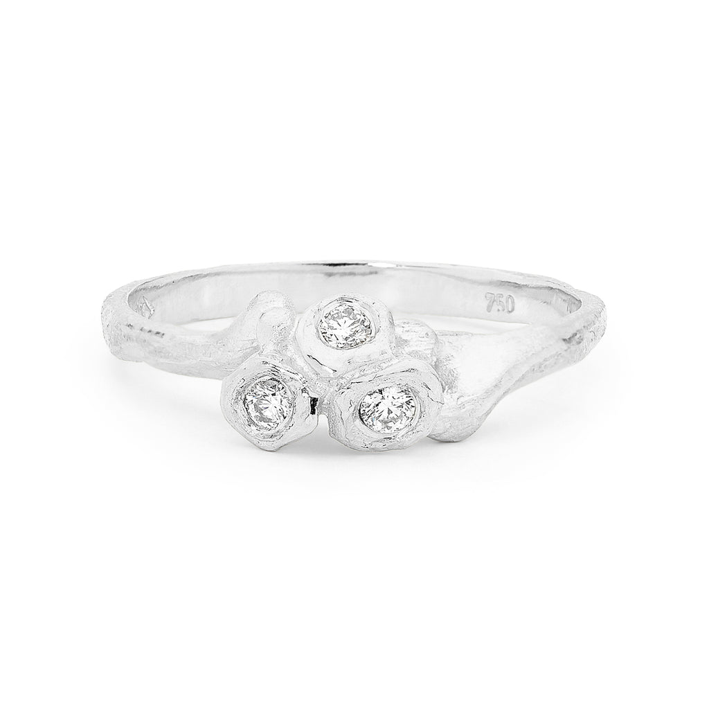 Diamond White Gold Ring Perth jewellery stores perth perth jewellery stores australian jewellery designers online jewellery shop perth jewellery shop jewellery shops perth perth jewellers jewellery perth jewellers in perth diamond jewellers perth bridal jewellery australia pearl jewellery australian pearls diamonds and pearls perth engagement rings for women custom engagement rings perth custom made engagement rings perth diamond engagement rings