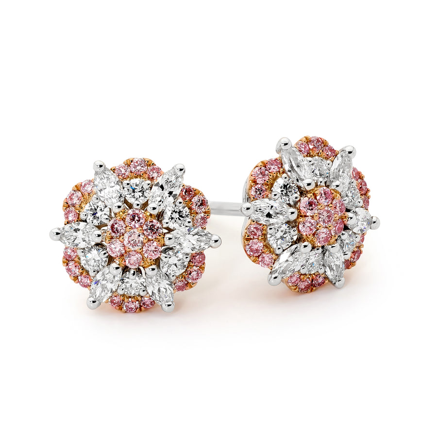 18ct White & Rose Gold on Pink Diamond Earrings White Gold Diamond Perth jewellery stores perth perth jewellery stores australian jewellery designers online jewellery shop perth jewellery shop jewellery shops perth perth jewellers jewellery perth jewellers in perth diamond jewellers perth bridal jewellery australia pearl jewellery australian pearls diamonds and pearls perth