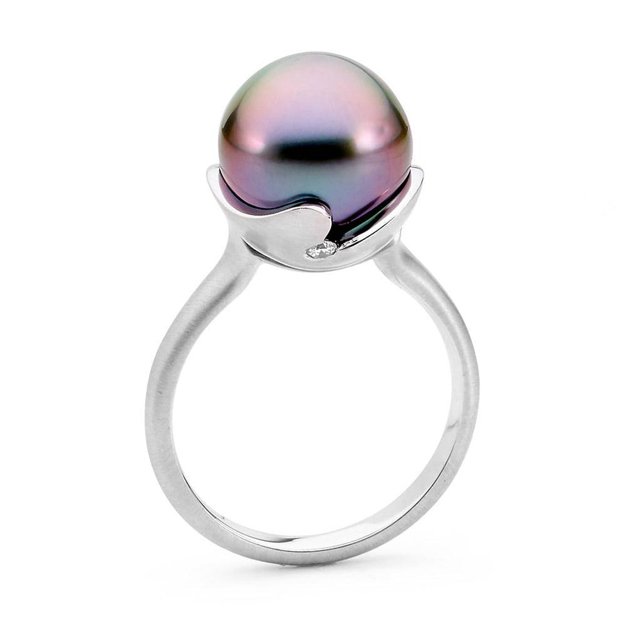 Tahitian Pearl Matt Finish Ring jewellery stores perth perth jewellery stores australian jewellery designers online jewellery shop perth jewellery shop jewellery shops perth perth jewellers jewellery perth jewellers in perth diamond jewellers perth bridal jewellery australia pearl jewellery australian pearls