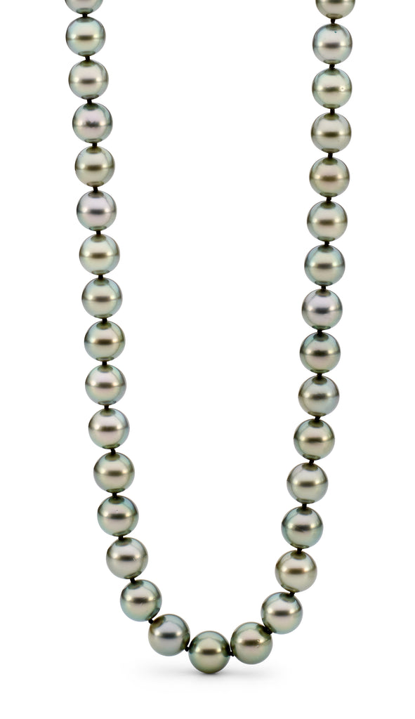 Tahitian Pearl Necklace jewellery stores perth perth jewellery stores australian jewellery designers online jewellery shop perth jewellery shop jewellery shops perth perth jewellers jewellery perth jewellers in perth diamond jewellers perth bridal jewellery australia pearl jewellery australian pearls diamonds and pearls perth
